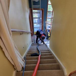 carpet-cleaning-img-3
